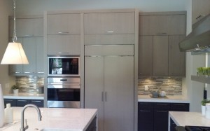 Lake Mary, Modern Grey Kitchen 2    